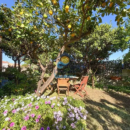 Sardegna 20 Holiday home *